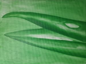 Green painting
